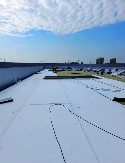 合成高分子防水卷材有哪些